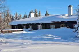 A house with a snow-covered roof in the middle of a forest.