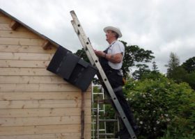 A man inspecting a ladder while looking for things on the roof.