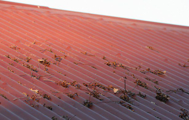 debris on the roof