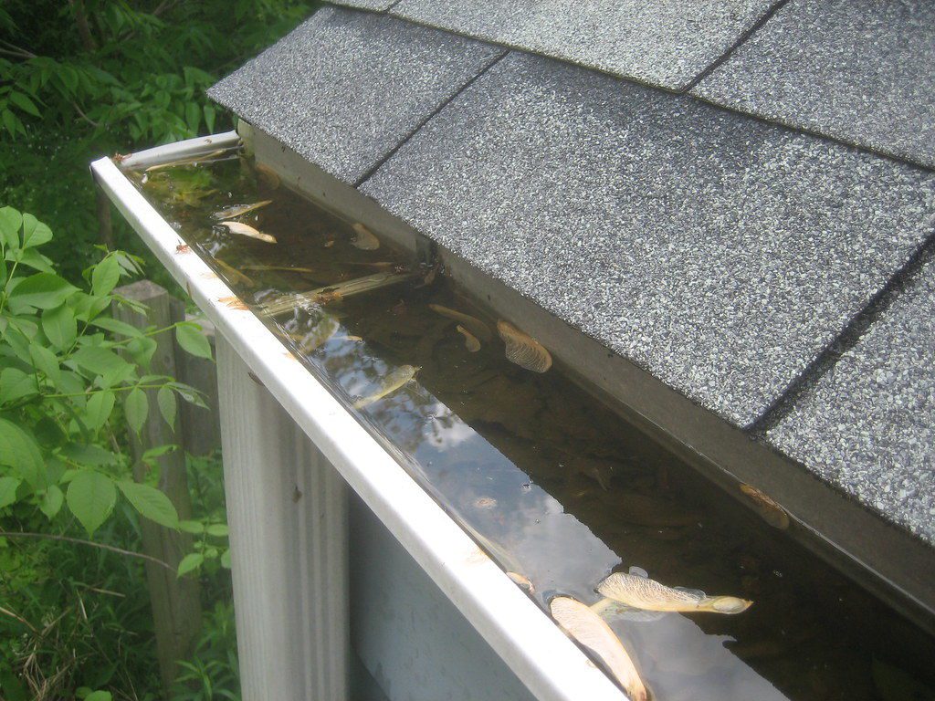 keep your gutters clean- make your roof summer ready