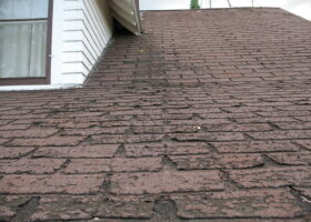 A brown tiled roof with a leaky shingle.