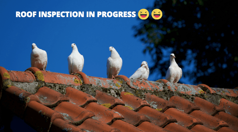 checking the condition of the roof