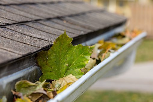 clogged gutter